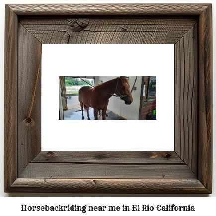 horseback riding near me in El Rio, California